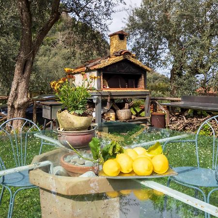 Villino Sally Sorrento Coast П'яно-ді-Сорренто Екстер'єр фото