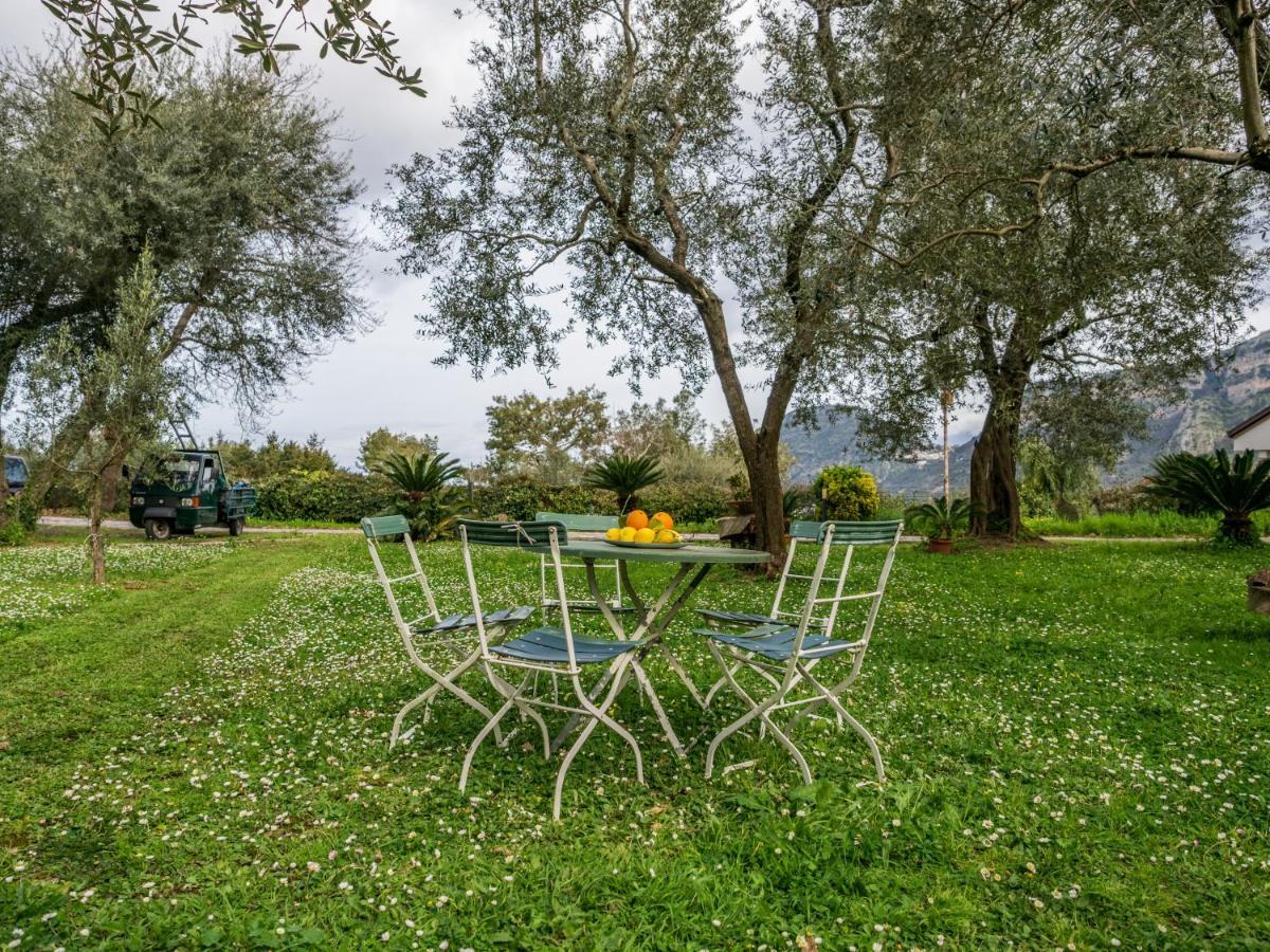 Villino Sally Sorrento Coast П'яно-ді-Сорренто Екстер'єр фото